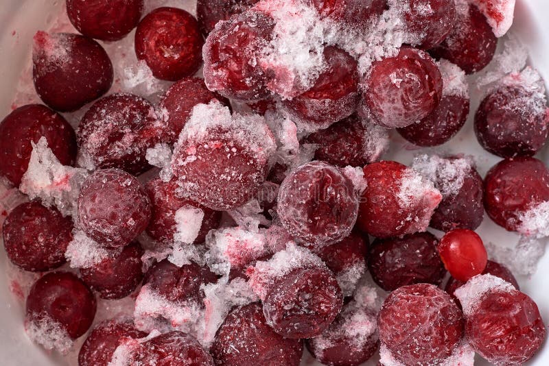 Frozen Cherries. Cherries are with Pieces of Ice Stock Image Image of