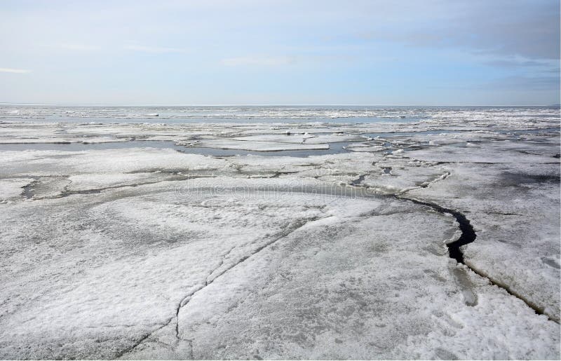 The Frozen Coast of the Gulf of Finland with a Bizarre Form of Ice ...