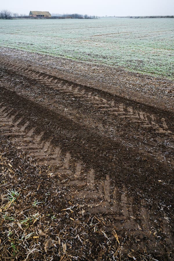 Frozen country dirt road in winter royalty free stock photo