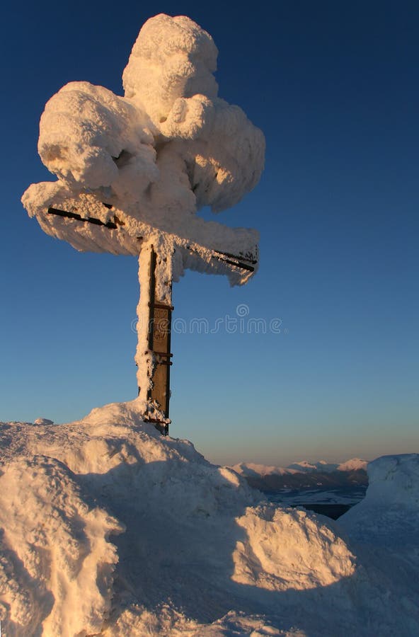 Frozen cross