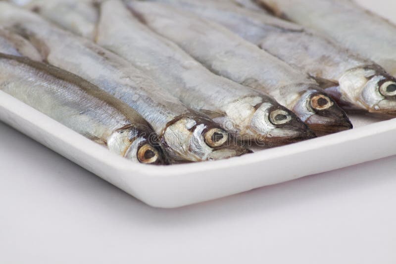 Frozen Fish stock photos