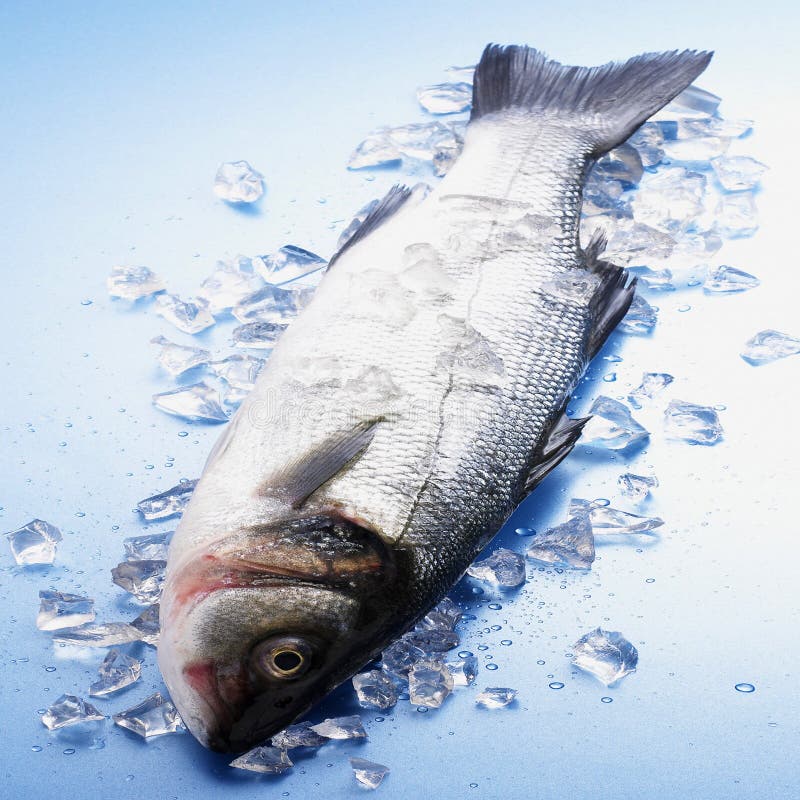 Frozen fish stock photo. Image of menu, eating, restaurant 17795354
