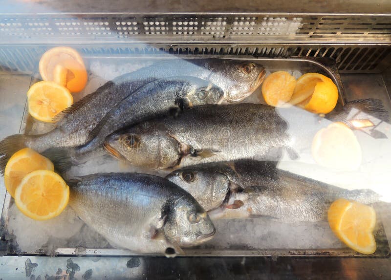 Frozen fish stock image. Image of slices, seafood, cooler 27552875