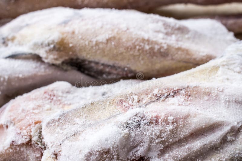 Frozen fish closeup stock image. Image of frozen, closeup 51730817