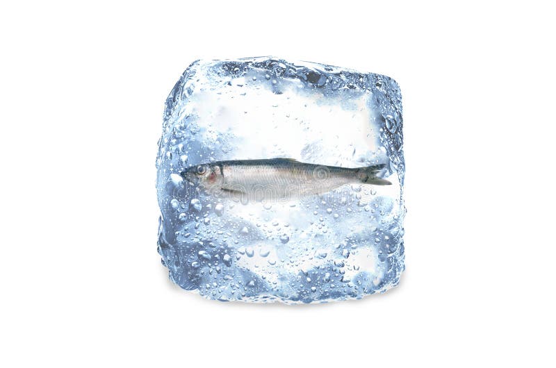 Frozen fish,ice stock photo
