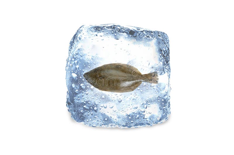 Frozen fish,ice stock image