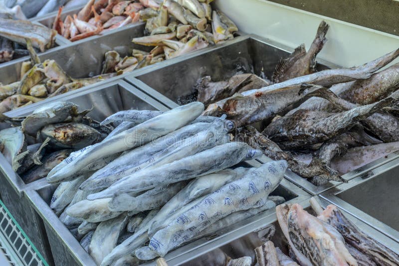 Frozen Fish and Seafood Fillets in a Refrigerated Display Case Stock