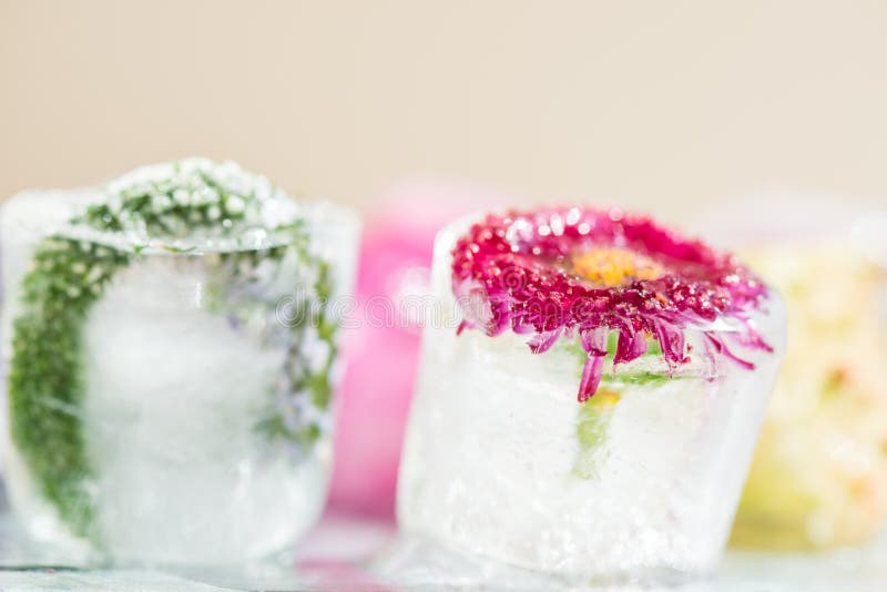 Frozen Flowers in Ice Cubes Stock Image Image of detail, crystal