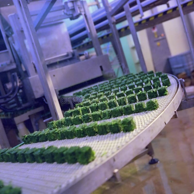 Frozen Food industry royalty free stock photos