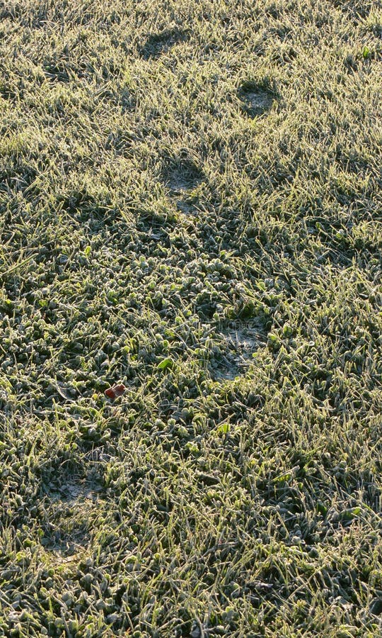 Frozen footprints in time background