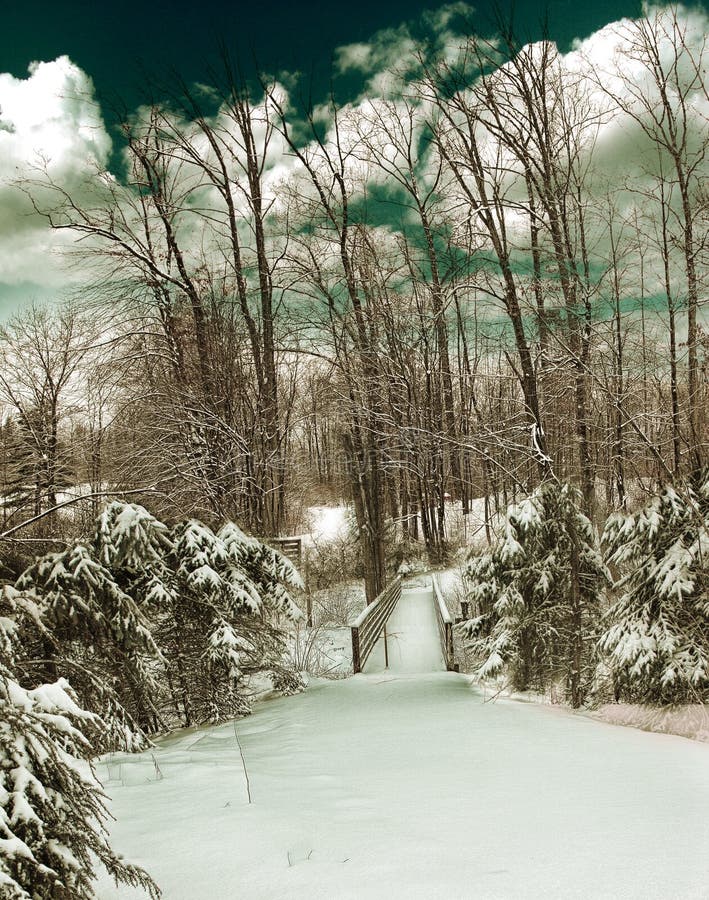 Frozen trees covered with snow in michigan. Hdr bridge stock images, royalty-free photos and pictures