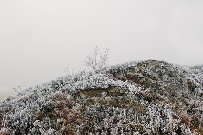 Frozen grass with stone on mountain hill on fog