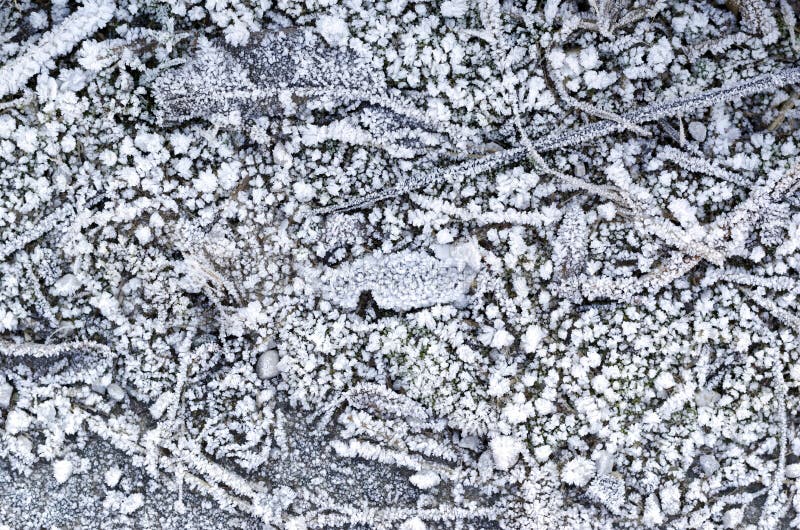 Frozen ground stock image. Image of crust, cool, carpet 38212525
