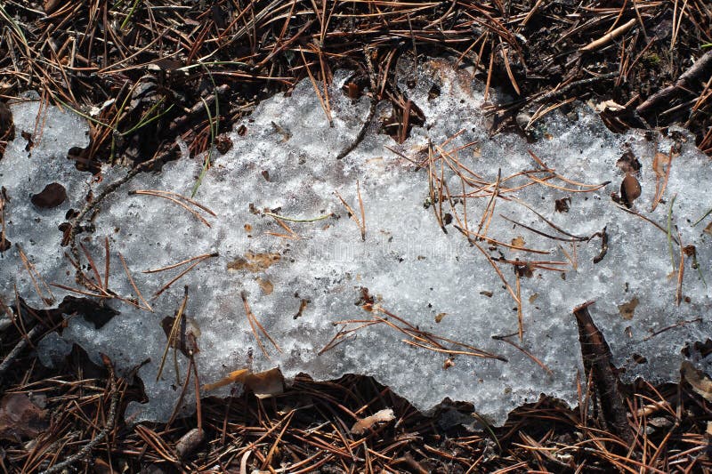 Frozen ground. stock photo. Image of frozen, cool, outdoor 40009004