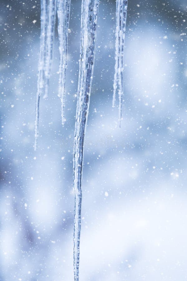 Frozen Icicles in Snowy Day Background Stock Photo - Image of clear