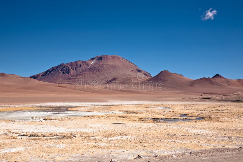 Frozen lagoon in Atacama desert