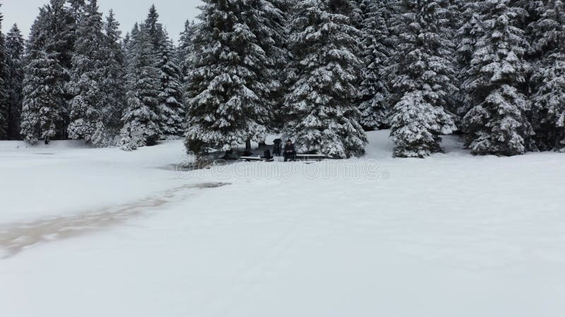 Frozen lake in winter, woods covered in fresch snow, aerial view