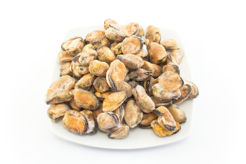 Frozen Mussels on a Plate stock photo. Image of seashell 79999724