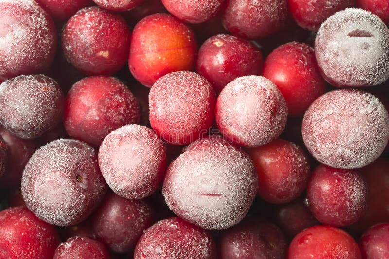 Frozen Plum background royalty free stock photos Frozen Plum background royalty free stock photos