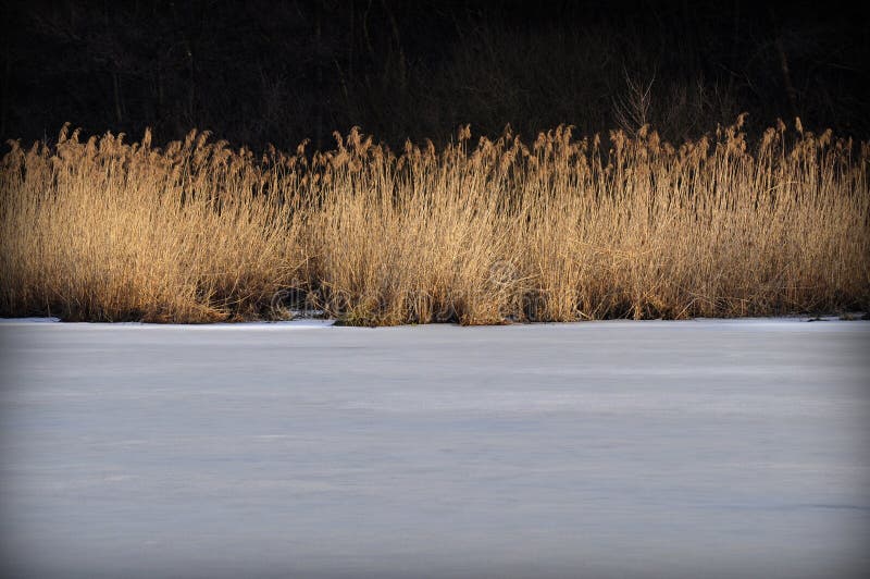 Frozen pond