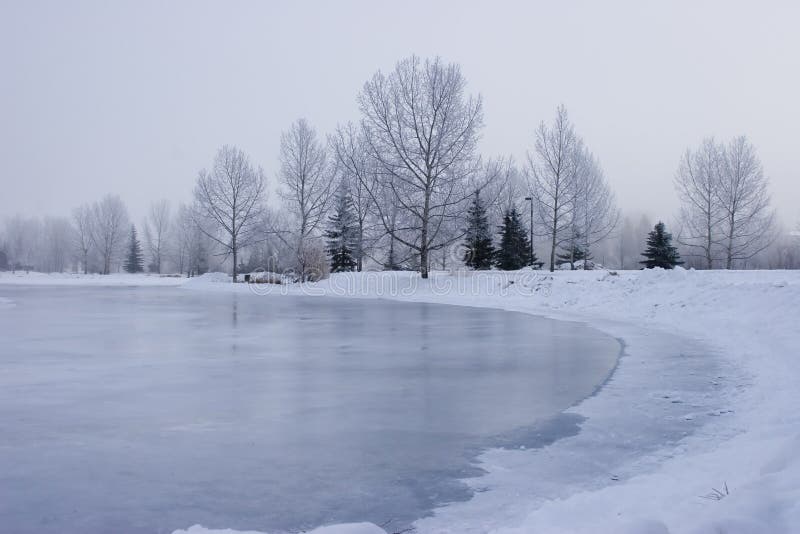 Frozen Pond