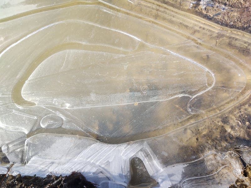 Frozen puddle during winter with ice and frozen plants.