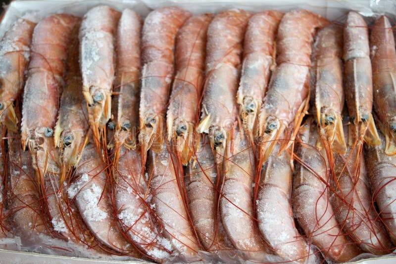 Frozen raw king prawns stock photo. Image of food, cold 65804694