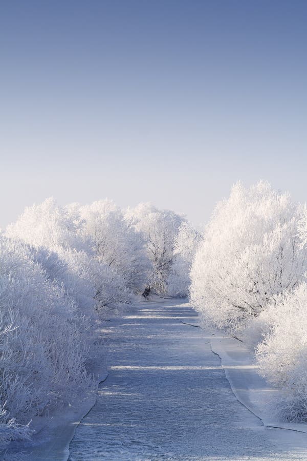 Frozen river with white frost trees