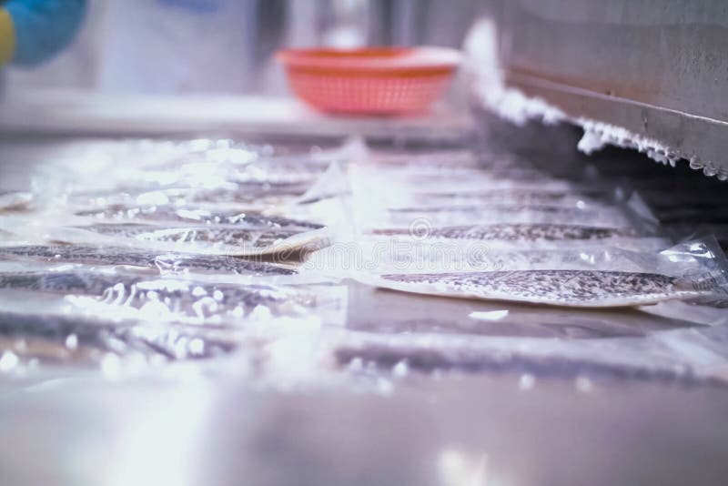 Frozen Salmon in Warehouse in the Refrigerator. Salmon Fish Stock Image