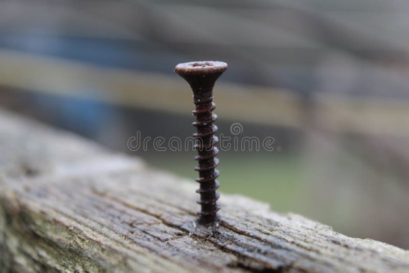 123 Eyelet Screw Stock Photos - Free & Royalty-Free Stock Photos from  Dreamstime