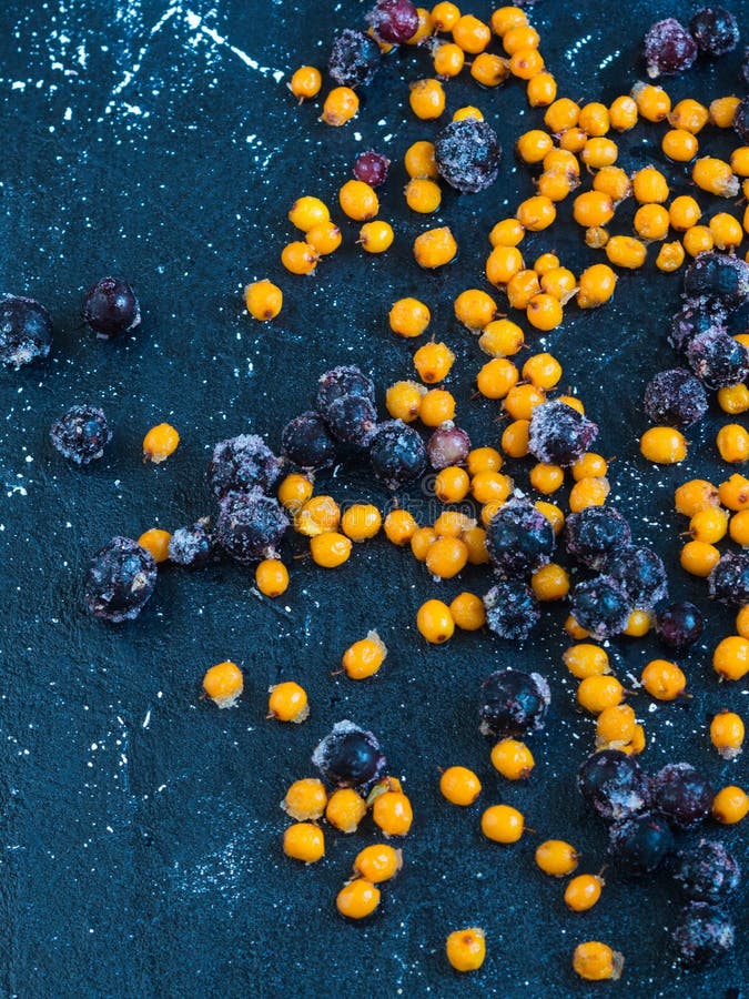 Frozen Sea Buckthorn Berries and Black Currant Stock Image - Image of