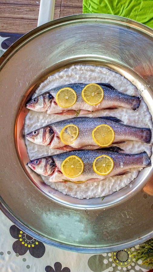 Frozen Sea Fish Ready for Roasting Stock Image Image of fish, cuisine 228838383
