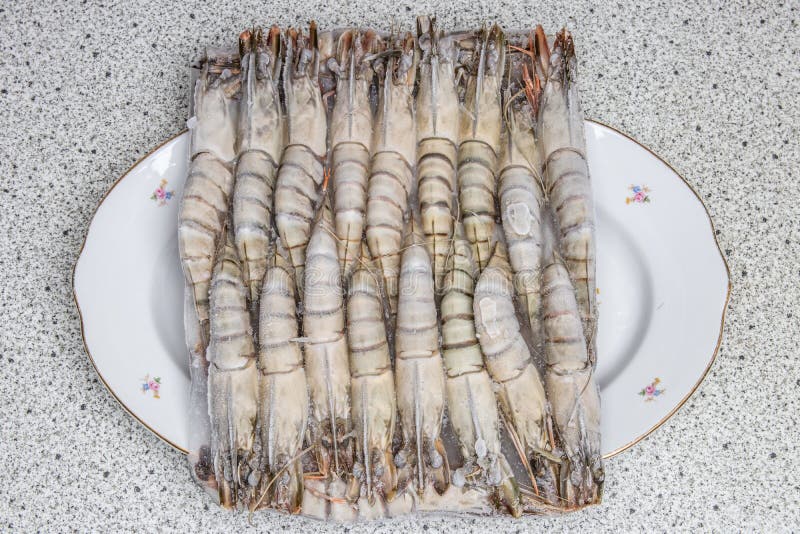 Frozen seafood background. Closeup of frozen fresh raw tiger shrimps on a plate. Top view. Concept healthy food royalty free stock image Frozen seafood background. Closeup of frozen fresh raw tiger shrimps on a plate. Top view. Concept healthy food royalty free stock image