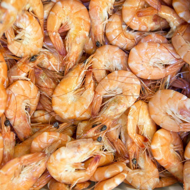 Frozen Seafood in Ice at Supermarket Octopus. Toned As HDR Image Stock