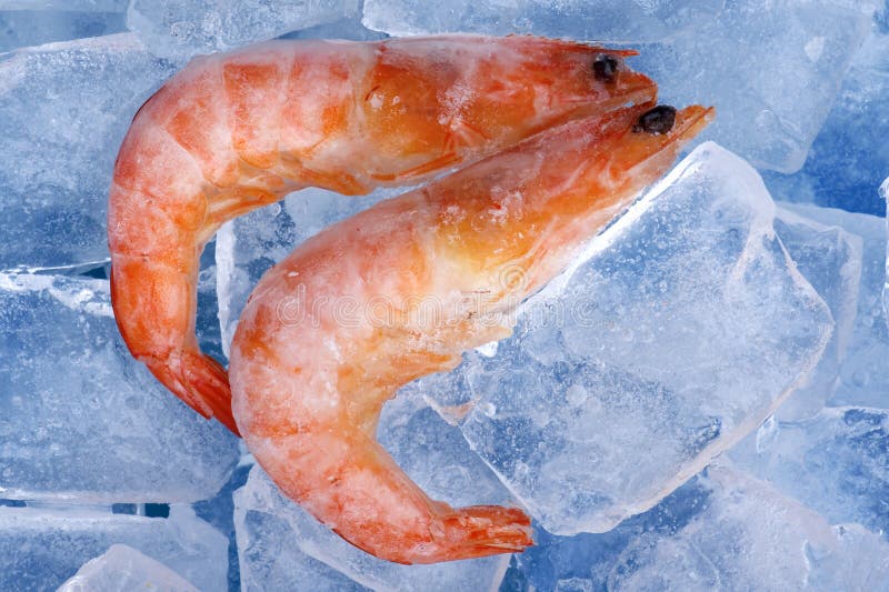 Frozen shrimp on blue stock photo. Image of fish, diet 11725484
