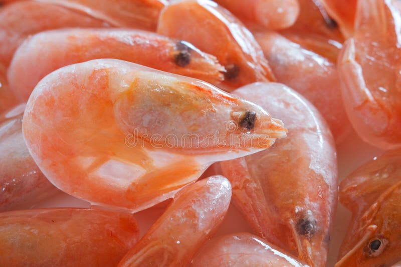 Frozen shrimp stock image. Image of tail, ingredient 36062157