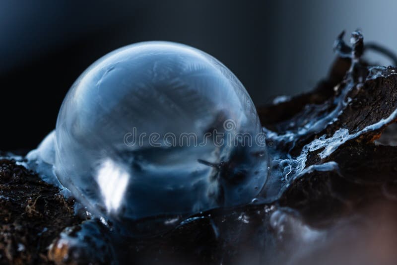 Frozen soap bubble with beautiful light and color on a wooden structure for backgrounds. Soap snowflake stock images, royalty-free photos and pictures