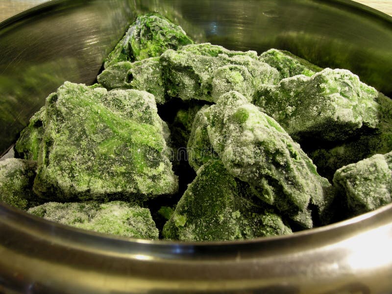 Frozen spinach stock photo. Image of iron, frozen, vegetarian - 46727924