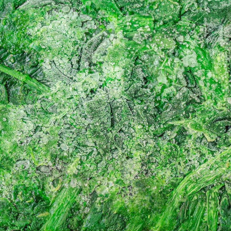 Frozen Spinach Leaves Textured Background. Iced Spinach Stock Image
