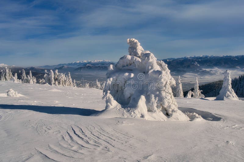 Zamrznuté smreky na vrchu Zázrivá na Malej Fatre pri Martinských holiach