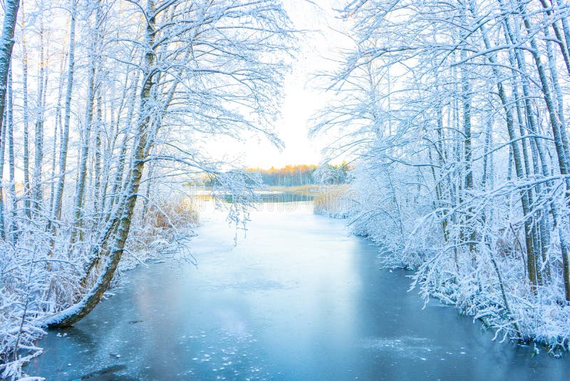 187 087 Winter Wallpaper Photos Free Royalty Free Stock Photos From Dreamstime