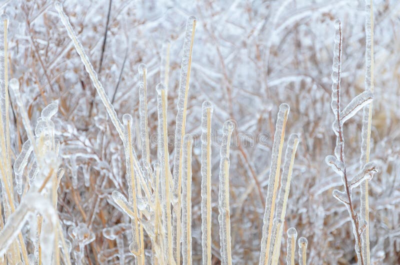 Frozen winter background