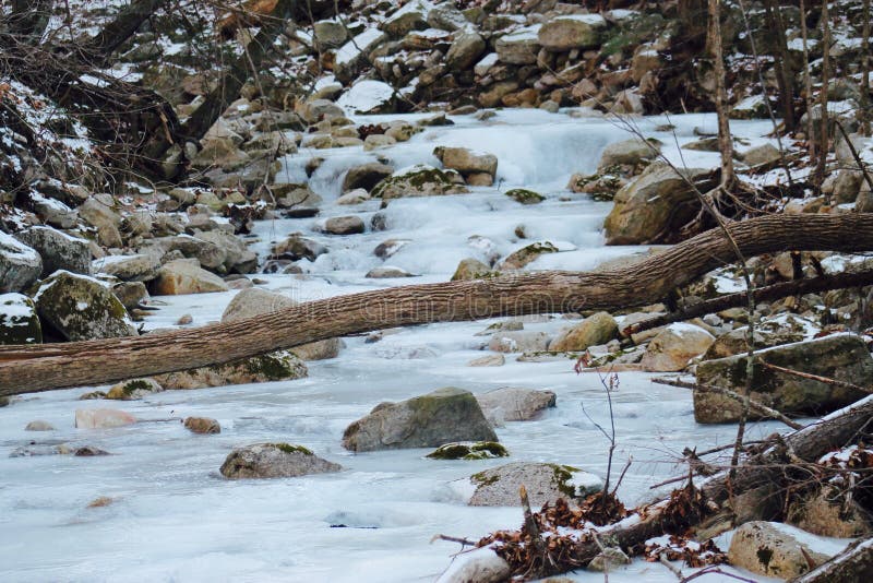 Frozen winter stream in the woods with log and rocks.