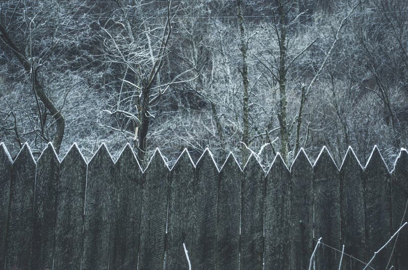 Frozen wood stock image. Image of travel, december, wallpaper 64370091