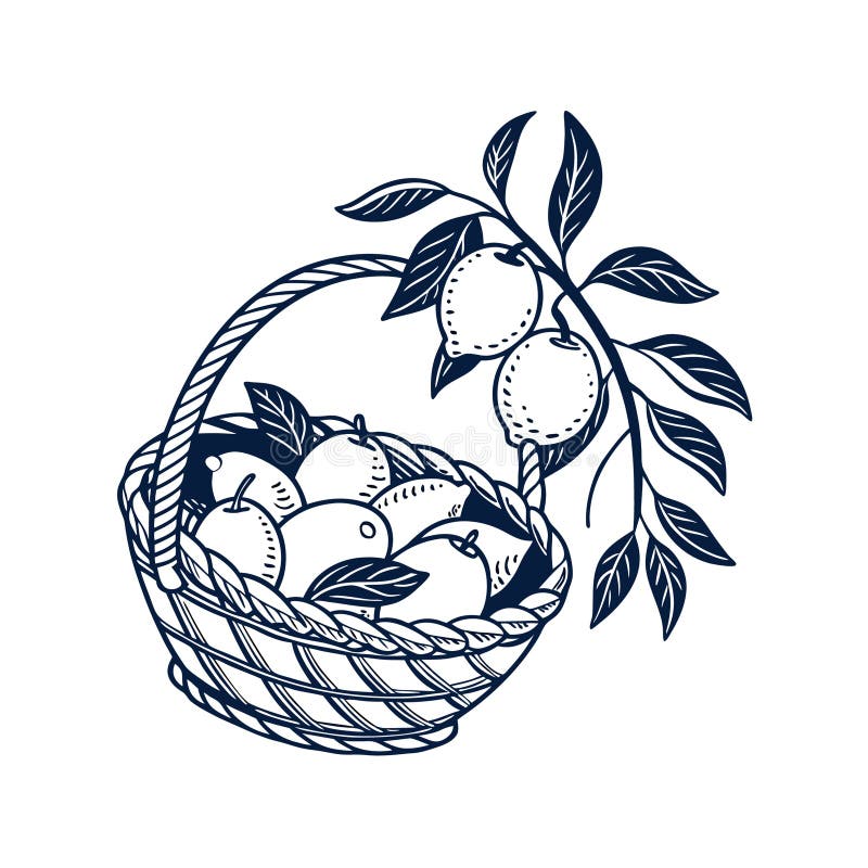 Fruchtkorb mit einfarbigen Lemons-Vector-Illustration stock abbildung