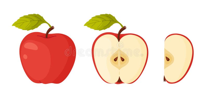 Fruct de grădină proaspăt cu mere, copt roșu. Partea de contact pentru alimente trase manual. Fructe întregi de felie royalty free illustration