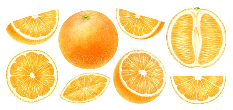 Fructe portocalii întregi felie tăiată separat pe partea superioară a fundului alb, vedere laterală exotică citrice. hrană pentru royalty free illustration