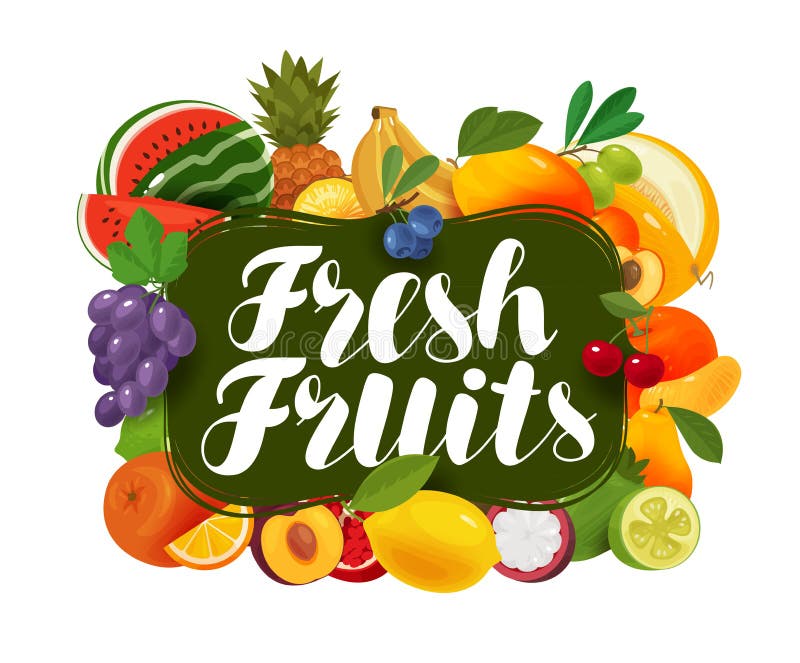 Fructe proaspete. concept natural de alimente ecologice. ilustrare vectorială royalty free illustration