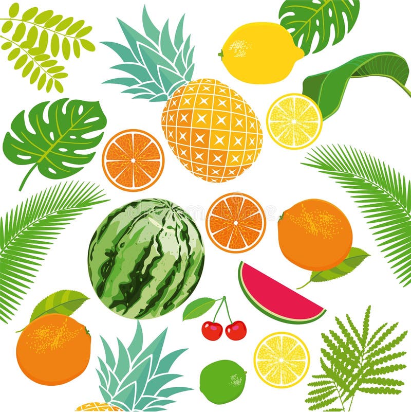 Fructe proaspete royalty free illustration