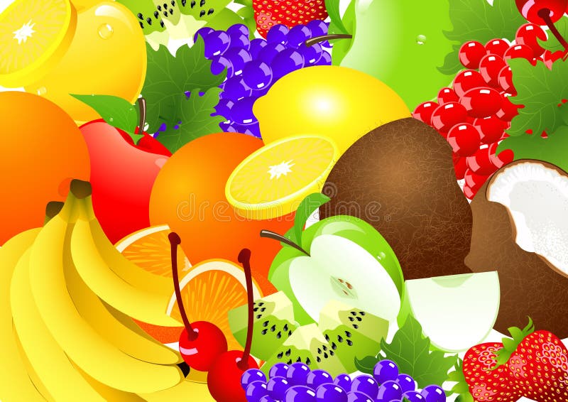 Fruit abundance vector illustration Fruit abundance vector illustration